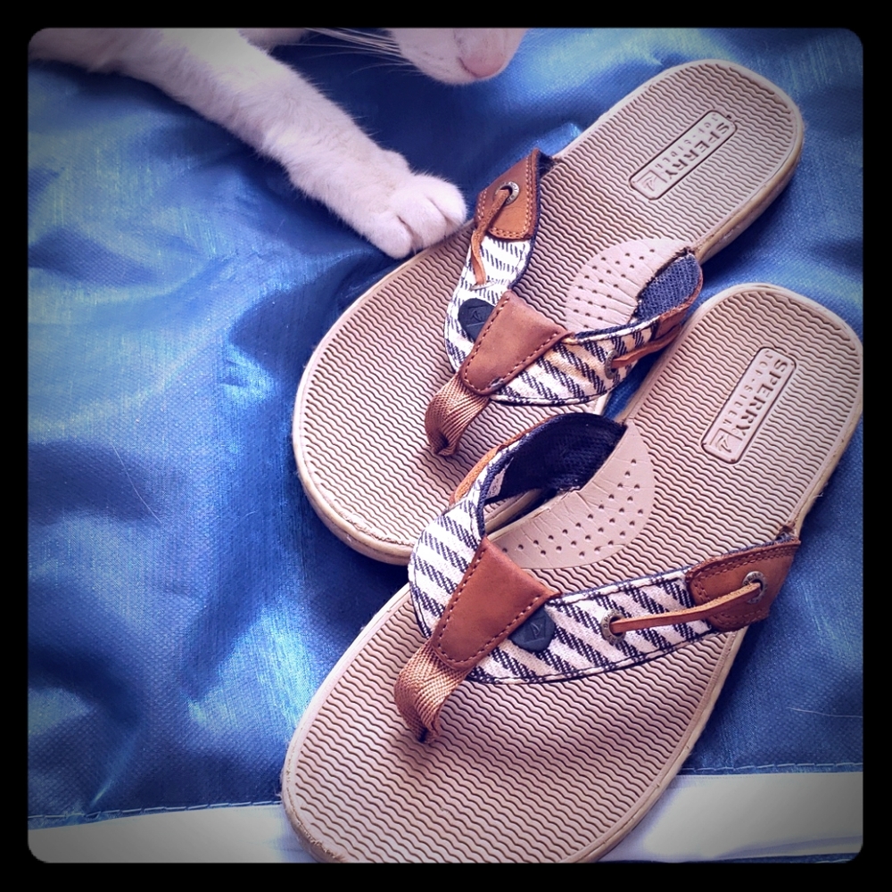 Sperry Topsiders®  nautical flip-flops